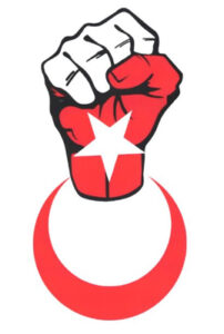 Milli Parti